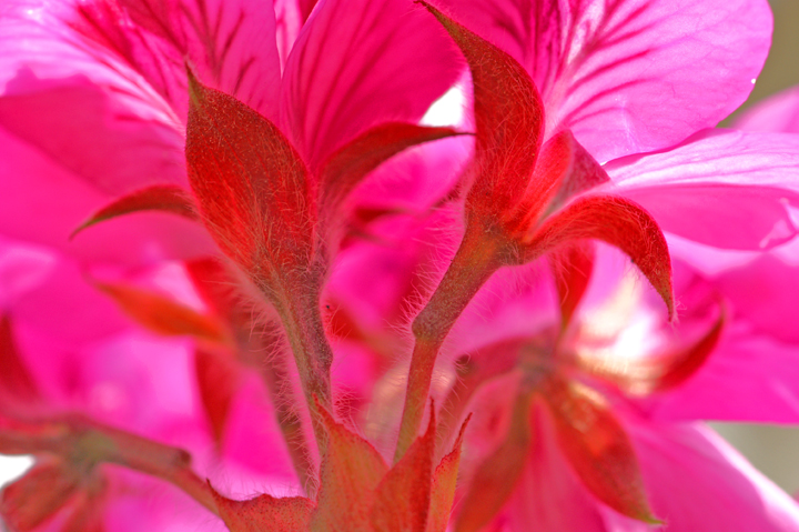 e0002371_2151337.jpg