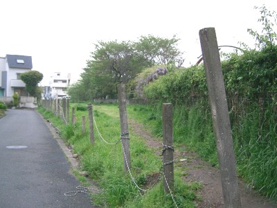 c0112172_16444961.jpg