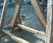 e0037673_1225769.jpg