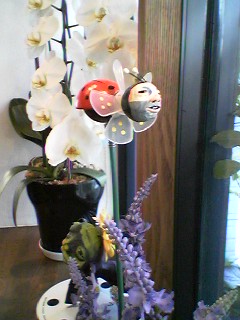 f0119082_12113251.jpg