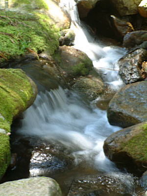 d0034988_9481257.jpg