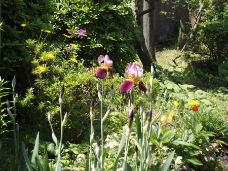 f0130894_20523031.jpg