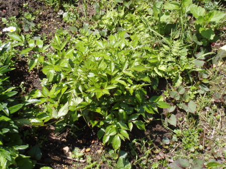 f0130894_20583348.jpg