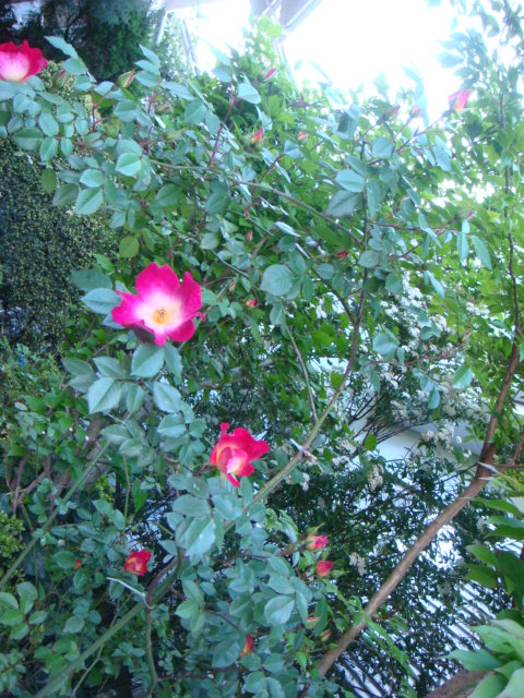 f0137694_714693.jpg