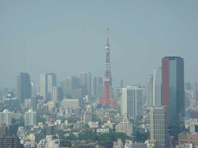 f0137694_7331864.jpg