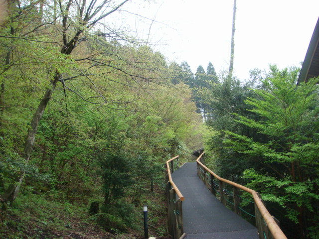f0137694_79046.jpg