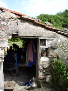f0106597_128216.jpg