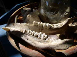 f0106597_148747.jpg