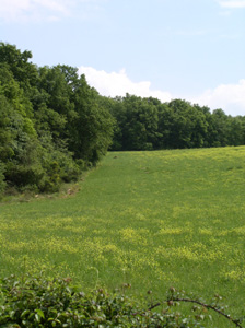 f0106597_1533630.jpg