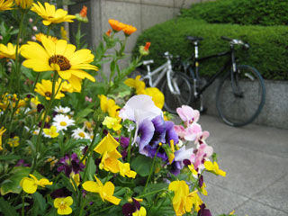 b0097200_22315266.jpg
