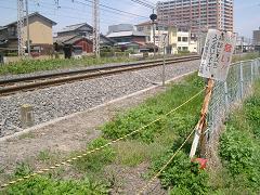 e0006700_1042737.jpg