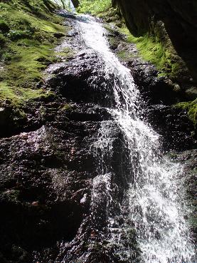 f0109601_1635616.jpg