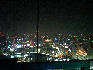 a0050302_511026.jpg