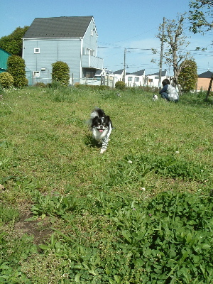 a0079803_14285925.jpg