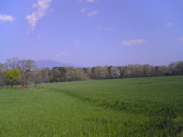 f0138304_16372861.jpg