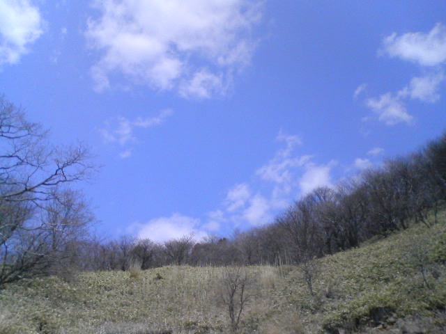 f0138304_1641849.jpg