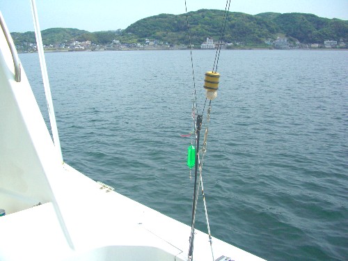 c0110906_1535843.jpg