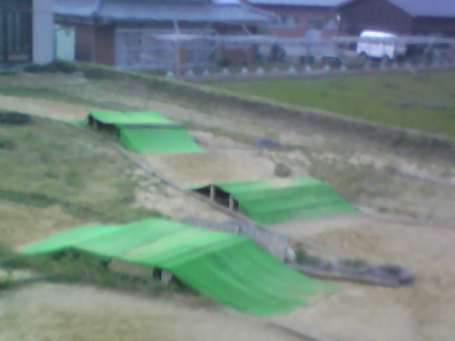 d0070007_18555028.jpg