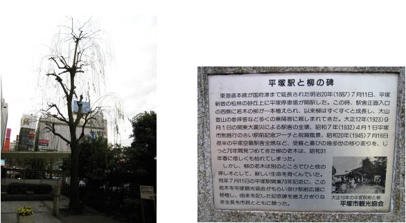 c0051620_7354497.jpg