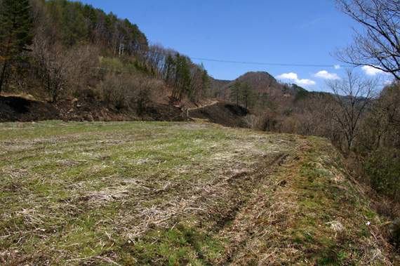 d0090322_23162187.jpg