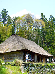 d0023725_11531098.jpg