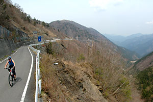 d0023725_1153454.jpg