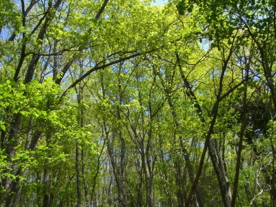 f0065126_20233561.jpg