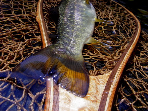 c0090530_22244920.jpg