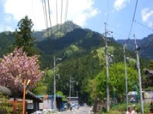f0130430_18473250.jpg