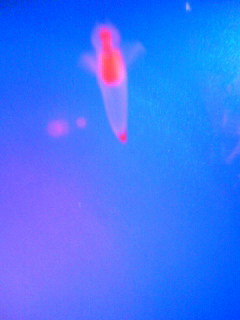 c0025033_23252352.jpg