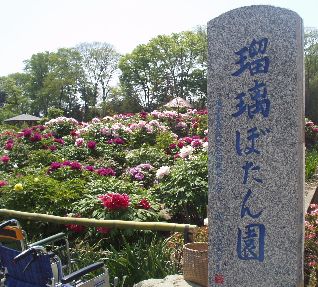 d0093936_17312830.jpg