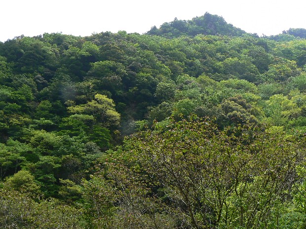 e0083238_22235733.jpg