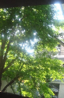 c0093339_18041.jpg