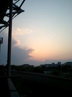 a0035942_881285.jpg