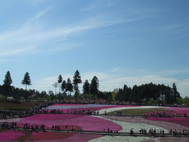 c0071545_1234334.jpg