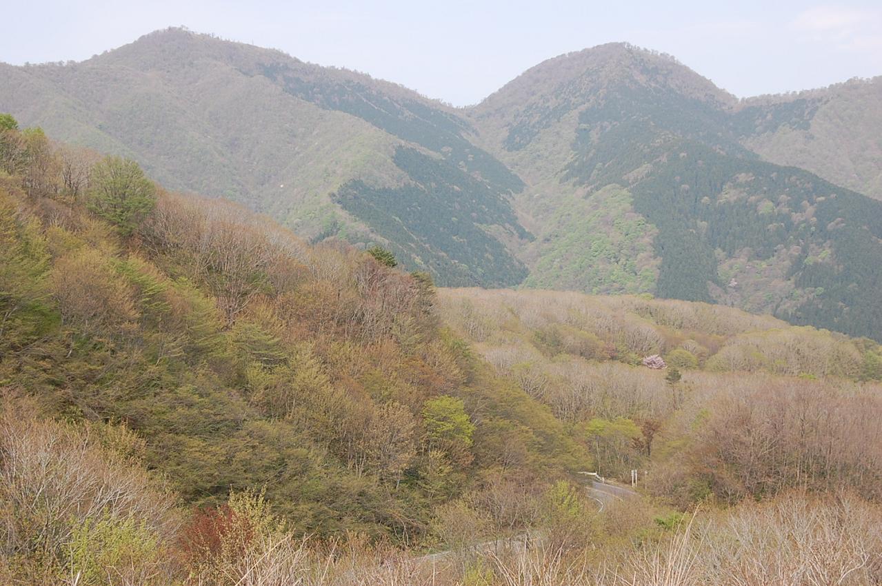 d0117248_1204951.jpg