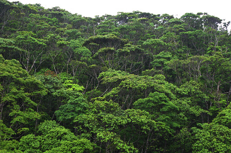 a0012950_1954322.jpg