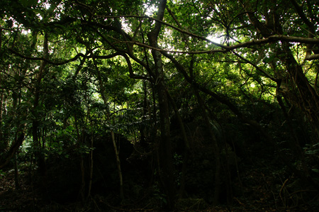 a0012950_196920.jpg