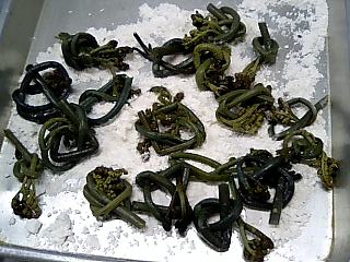 f0066361_18114930.jpg
