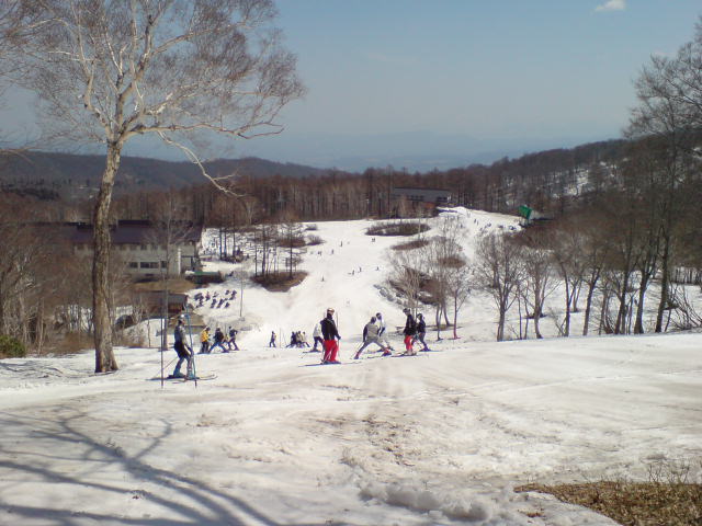 b0085469_1926134.jpg