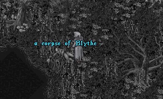 d0097169_9405713.jpg