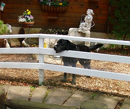 b0003270_222842100.jpg