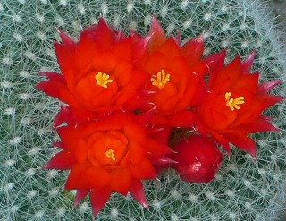b0042882_20245789.jpg