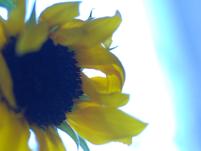 c0115782_15215279.jpg