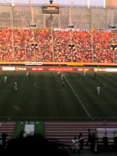 b0080383_752649.jpg