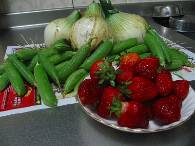 f0103484_11541050.jpg