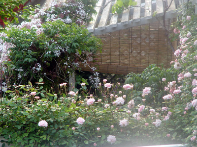 e0008586_8342063.jpg