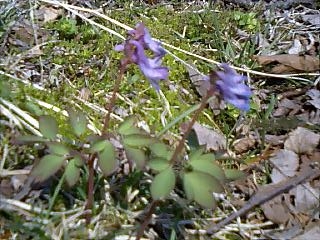 f0075087_17583453.jpg