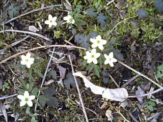 f0075087_1831777.jpg