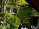 a0079292_2293216.jpg
